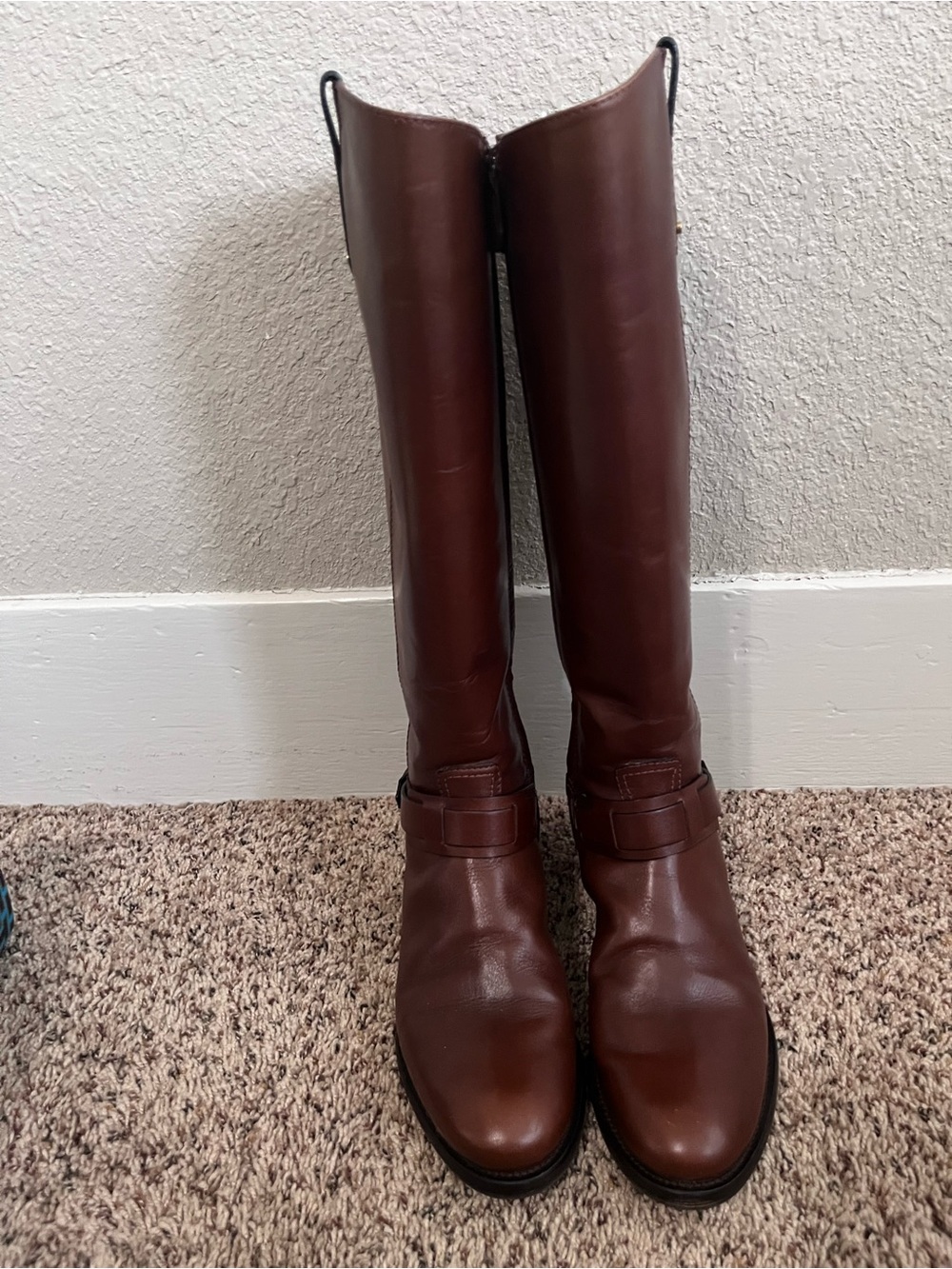 Tory Burch Derby Riding Boots in Almond Size 7 Galleon Antique Leather - Picture 4 of 11